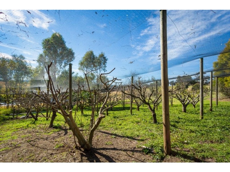 108 Tantawangalo Mtn Rd, Candelo NSW 2550