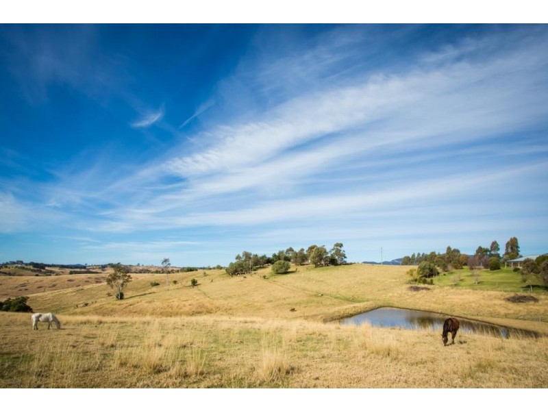 108 Tantawangalo Mtn Rd, Candelo NSW 2550