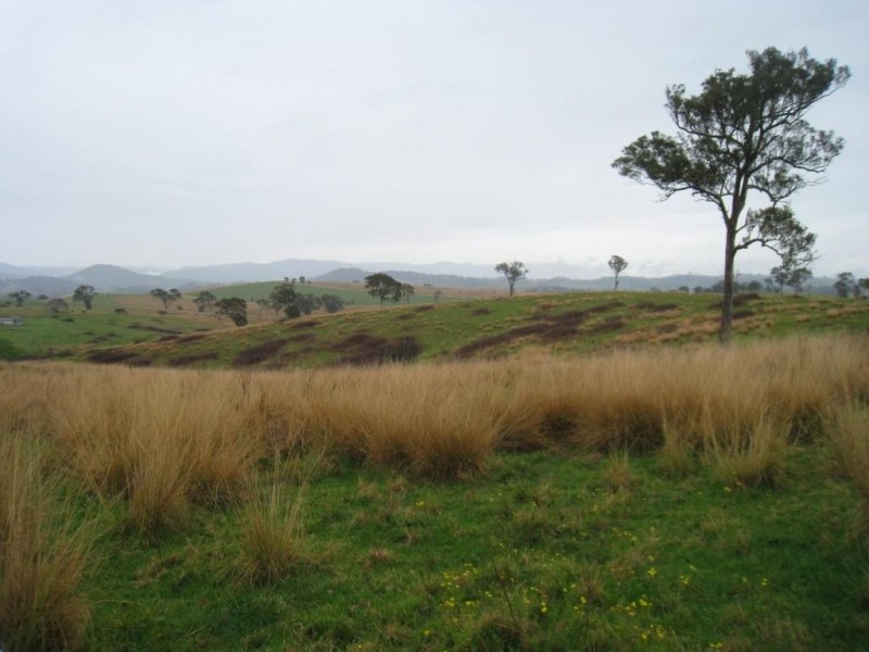 Lot 422 Towridgee Lane, Candelo NSW 2550