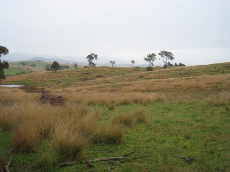 Lot 422 Towridgee Lane, Candelo NSW 2550