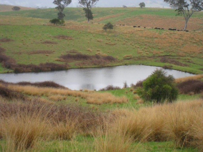 Lot 422 Towridgee Lane, Candelo NSW 2550