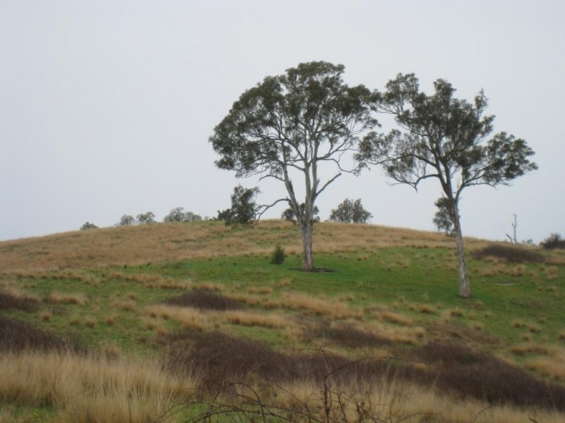 Lot 422 Towridgee Lane, Candelo NSW 2550