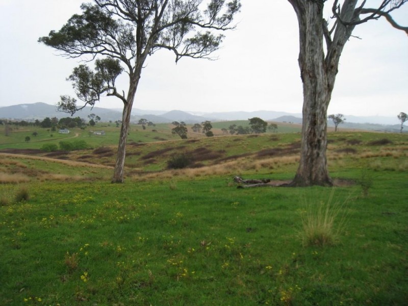 Lot 422 Towridgee Lane, Candelo NSW 2550