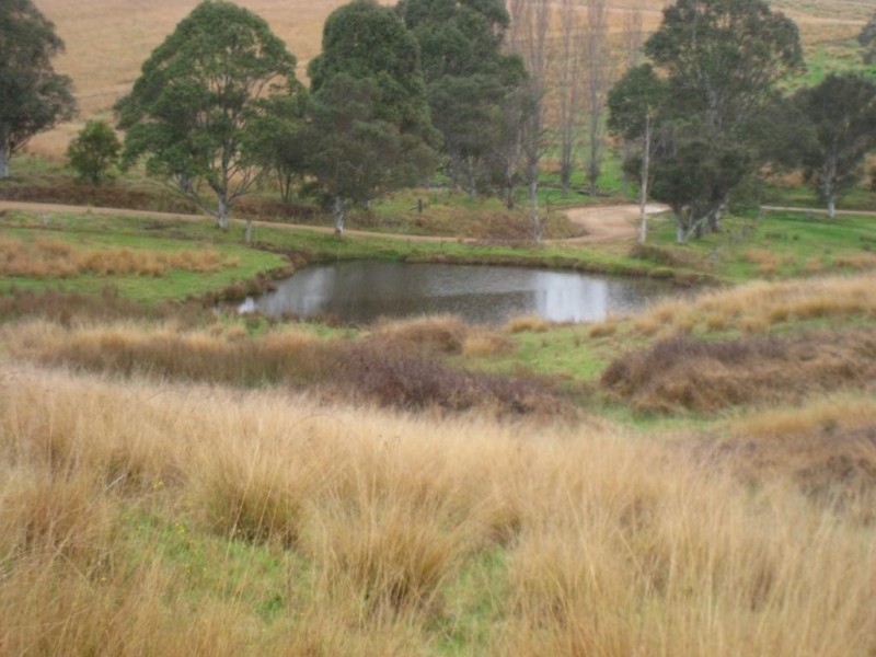 Lot 422 Towridgee Lane, Candelo NSW 2550