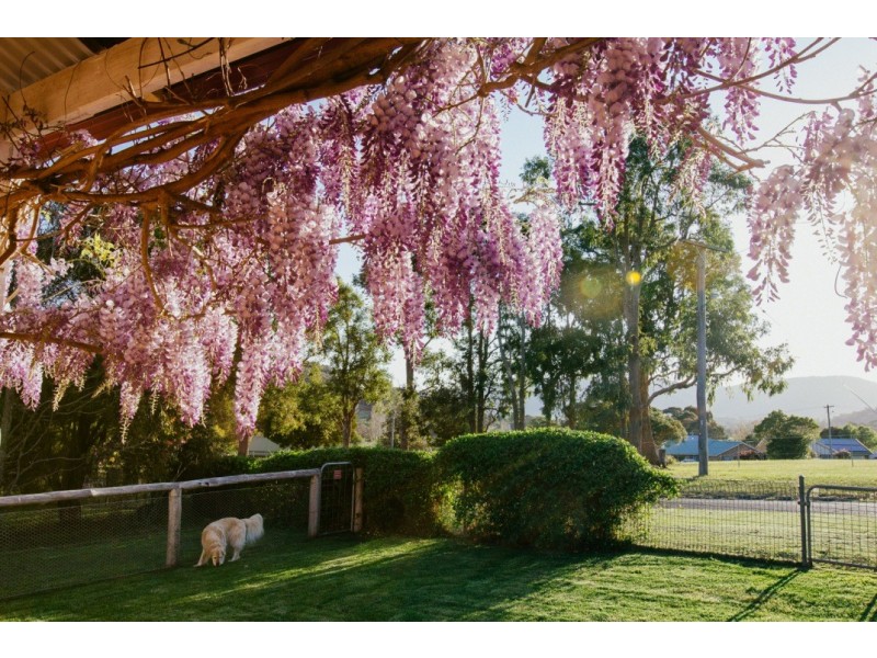 3-5 Avernus St, Cobargo NSW 2550