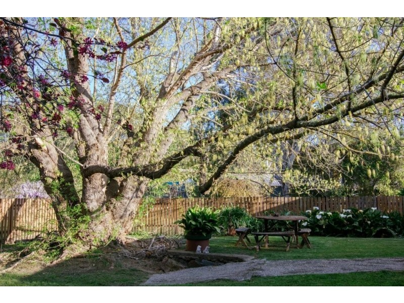 3-5 Avernus St, Cobargo NSW 2550