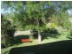34 Kameruka St, Bemboka NSW 2550