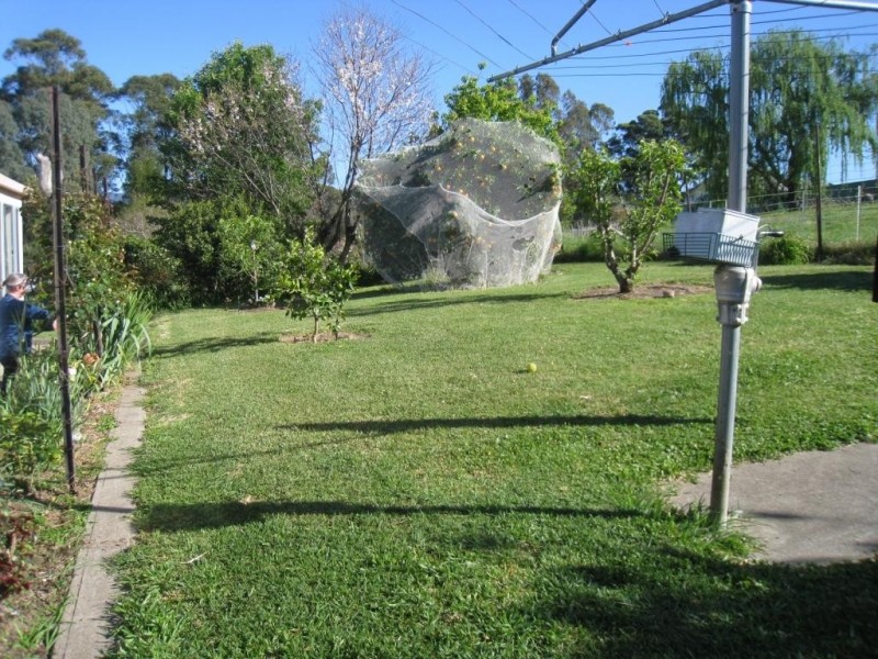 34 Kameruka St, Bemboka NSW 2550