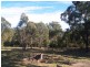 259 Blackrange Rd, Bega NSW 2550