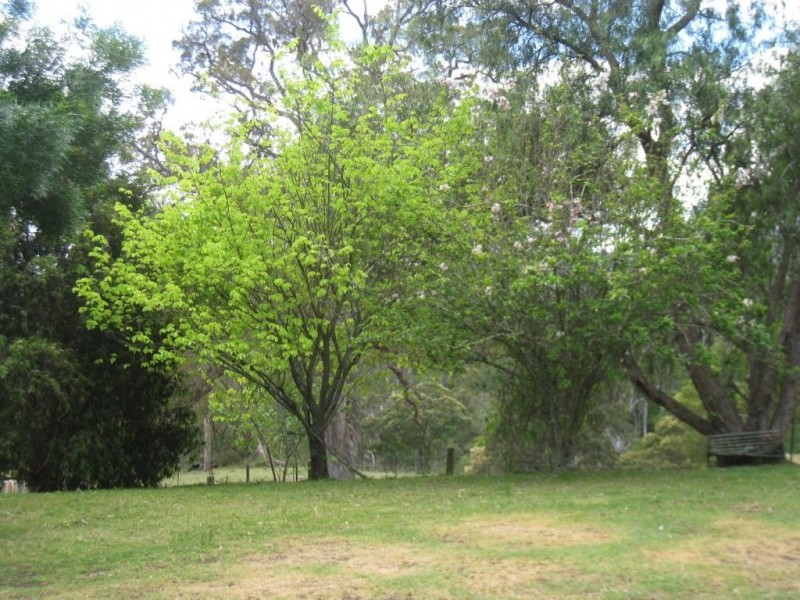 422 Blanchards Rd, Brogo NSW 2550