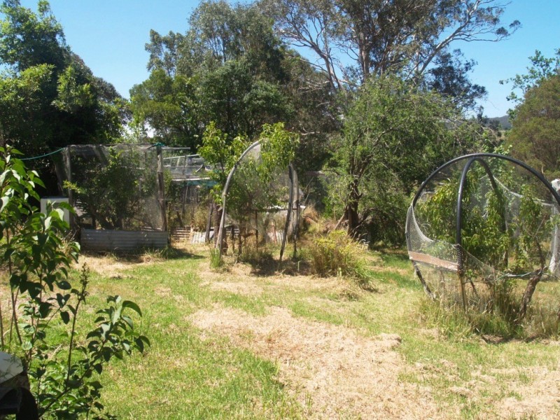 21-23 Cobargo St, Quaama NSW 2550