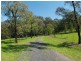 3739 Snowy Mtns Hwy, Bemboka NSW 2550