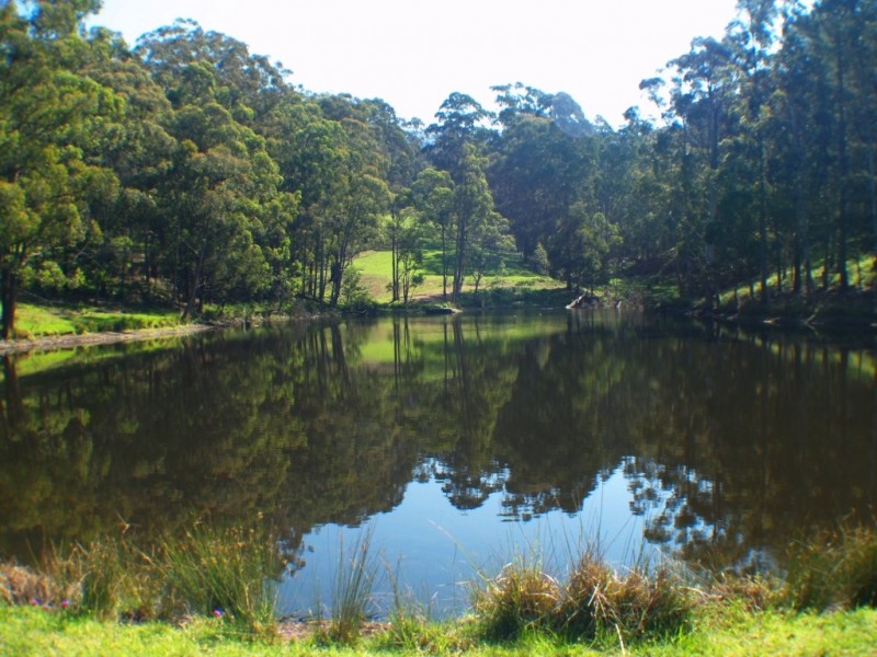 3739 Snowy Mtns Hwy, Bemboka NSW 2550