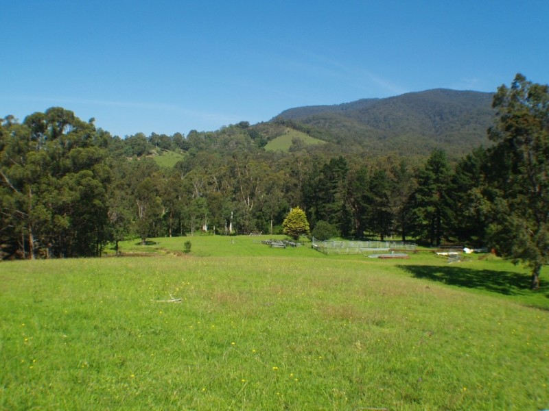 3739 Snowy Mtns Hwy, Bemboka NSW 2550