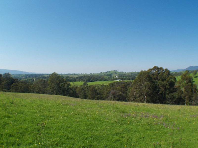 3739 Snowy Mtns Hwy, Bemboka NSW 2550