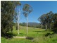 3739 Snowy Mtns Hwy, Bemboka NSW 2550