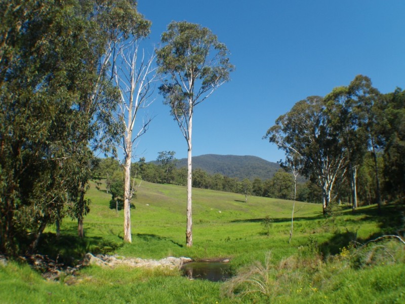 3739 Snowy Mtns Hwy, Bemboka NSW 2550