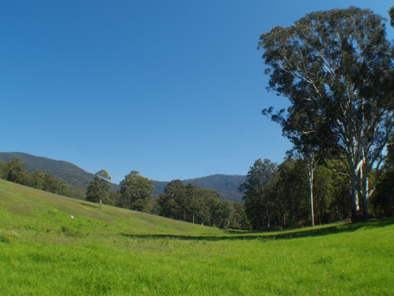 3739 Snowy Mtns Hwy, Bemboka NSW 2550