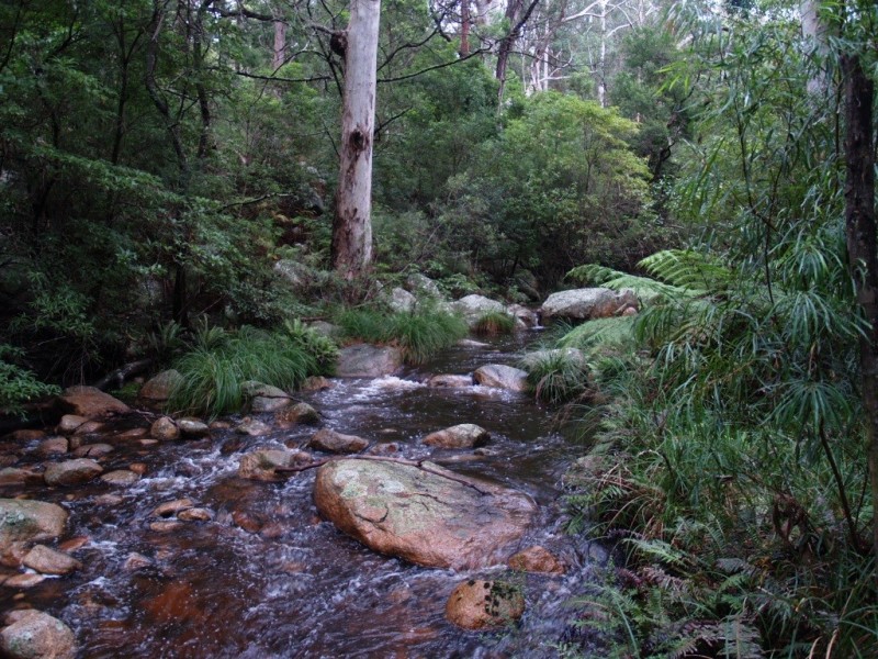 3739 Snowy Mtns Hwy, Bemboka NSW 2550