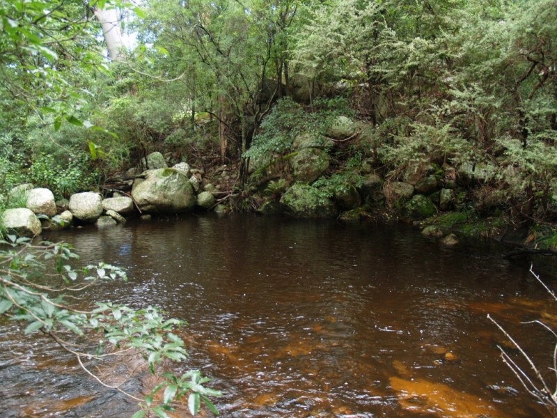 3739 Snowy Mtns Hwy, Bemboka NSW 2550