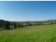 3739 Snowy Mtns Hwy, Bemboka NSW 2550