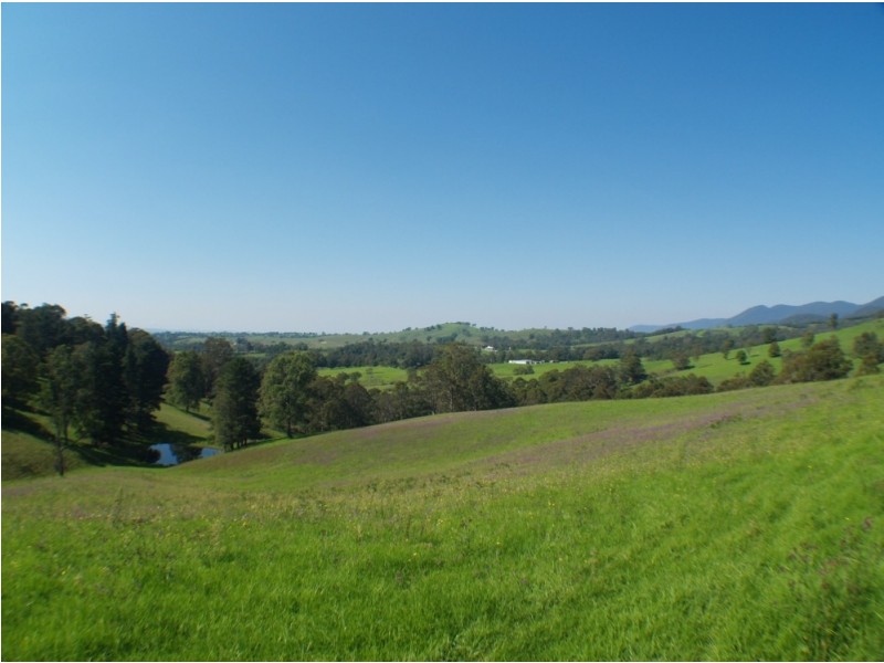 3739 Snowy Mtns Hwy, Bemboka NSW 2550