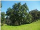 3739 Snowy Mtns Hwy, Bemboka NSW 2550
