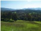 3739 Snowy Mtns Hwy, Bemboka NSW 2550