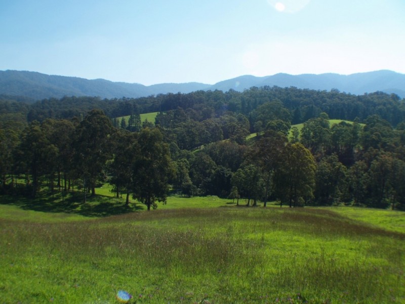 3739 Snowy Mtns Hwy, Bemboka NSW 2550