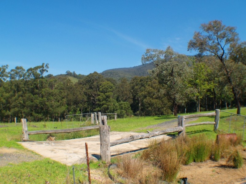 3739 Snowy Mtns Hwy, Bemboka NSW 2550