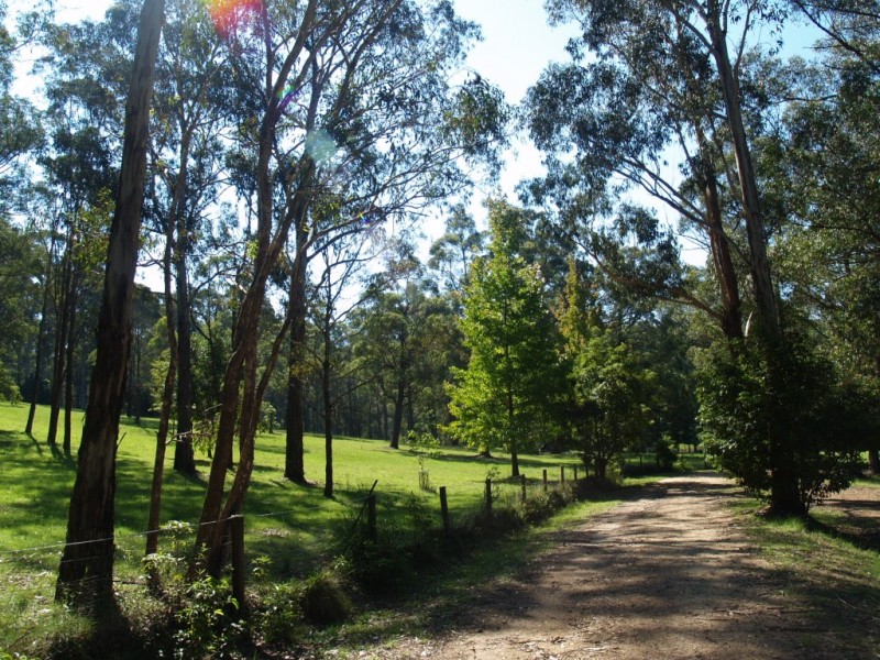 3739 Snowy Mtns Hwy, Bemboka NSW 2550