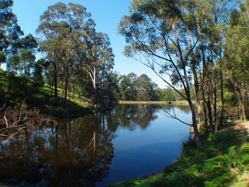 3739 Snowy Mtns Hwy, Bemboka NSW 2550