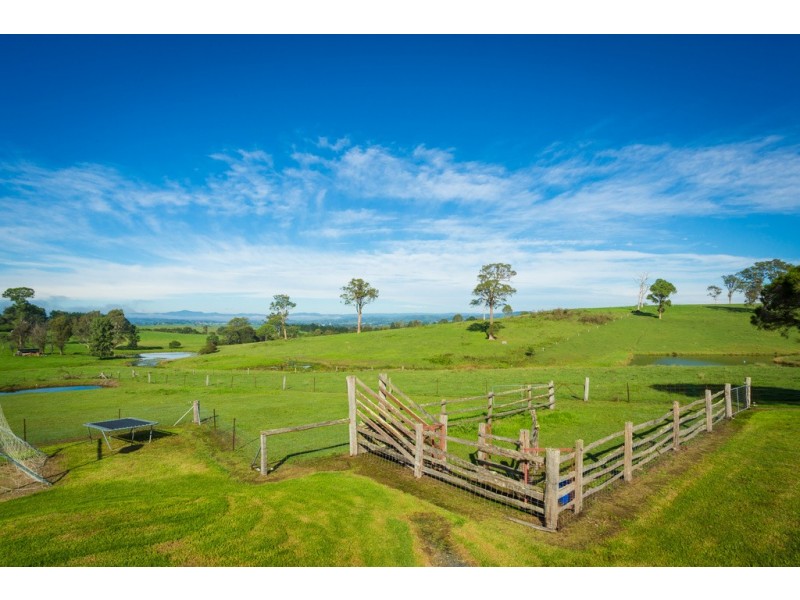 631 Angledale Rd, Bega NSW 2550