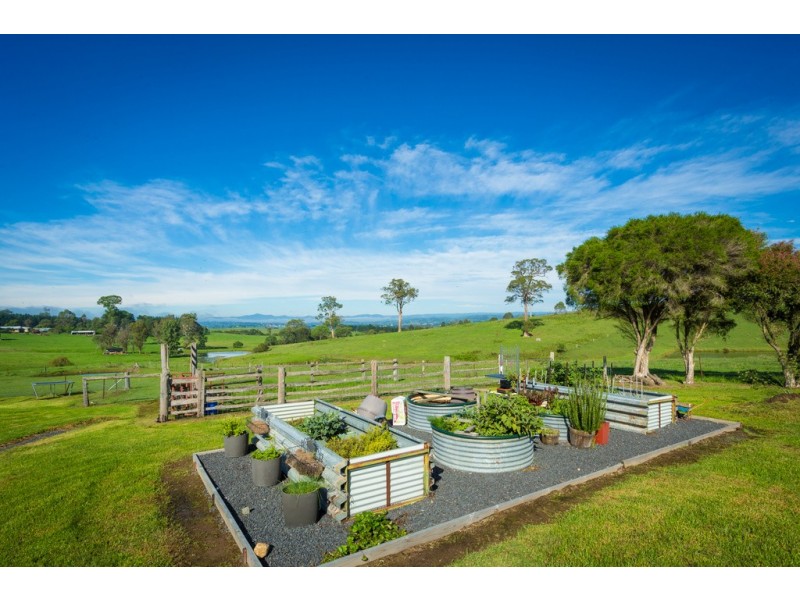631 Angledale Rd, Bega NSW 2550