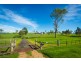 631 Angledale Rd, Bega NSW 2550