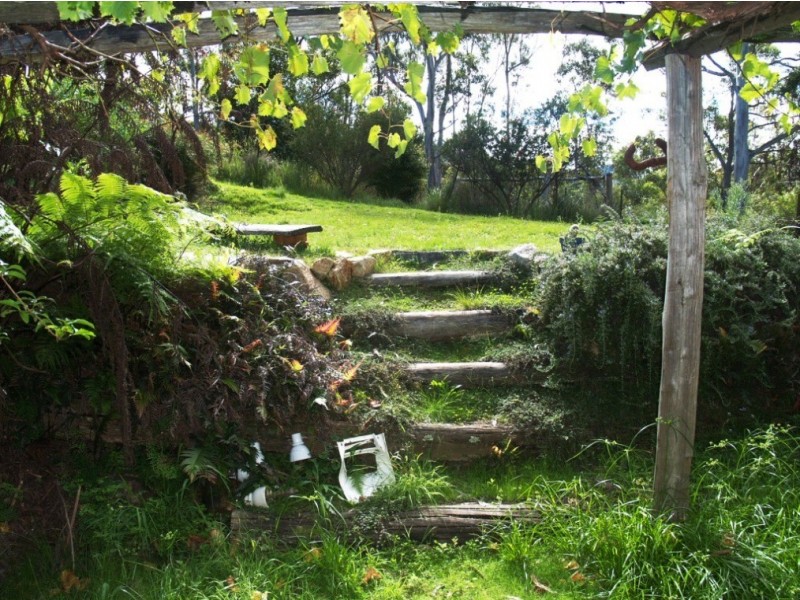 3919 Snowy Mtns Hwy, Bemboka NSW 2550