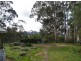 3919 Snowy Mtns Hwy, Bemboka NSW 2550