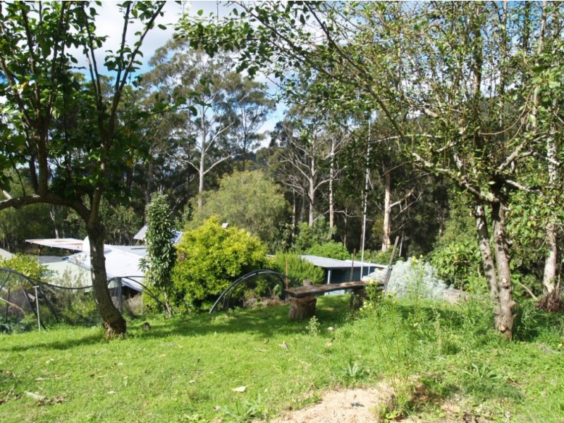 3919 Snowy Mtns Hwy, Bemboka NSW 2550
