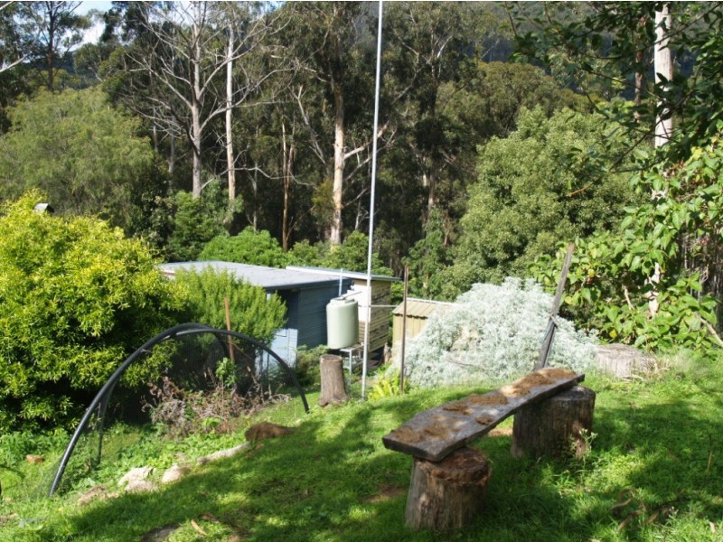 3919 Snowy Mtns Hwy, Bemboka NSW 2550