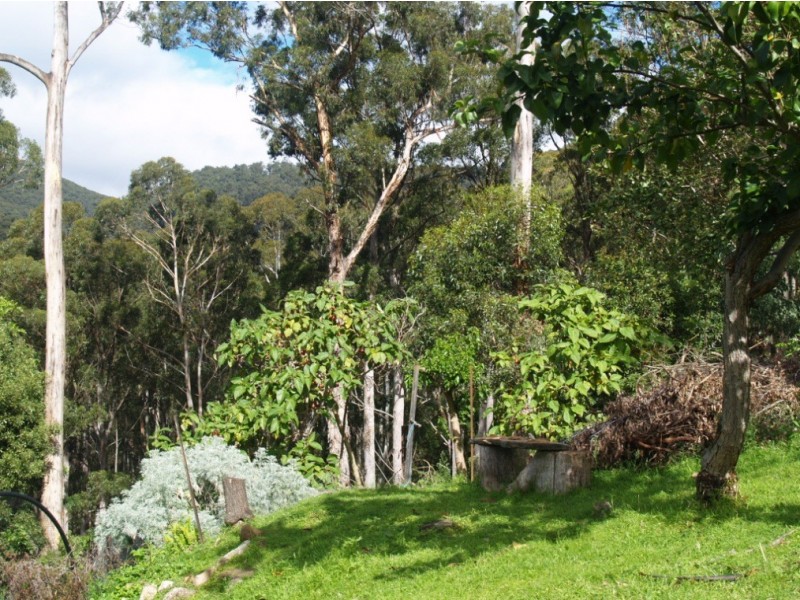 3919 Snowy Mtns Hwy, Bemboka NSW 2550