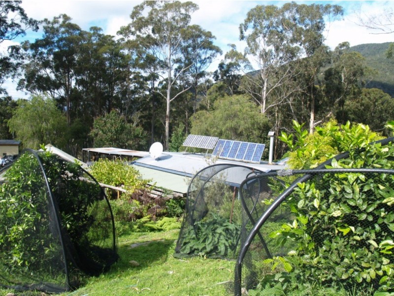 3919 Snowy Mtns Hwy, Bemboka NSW 2550