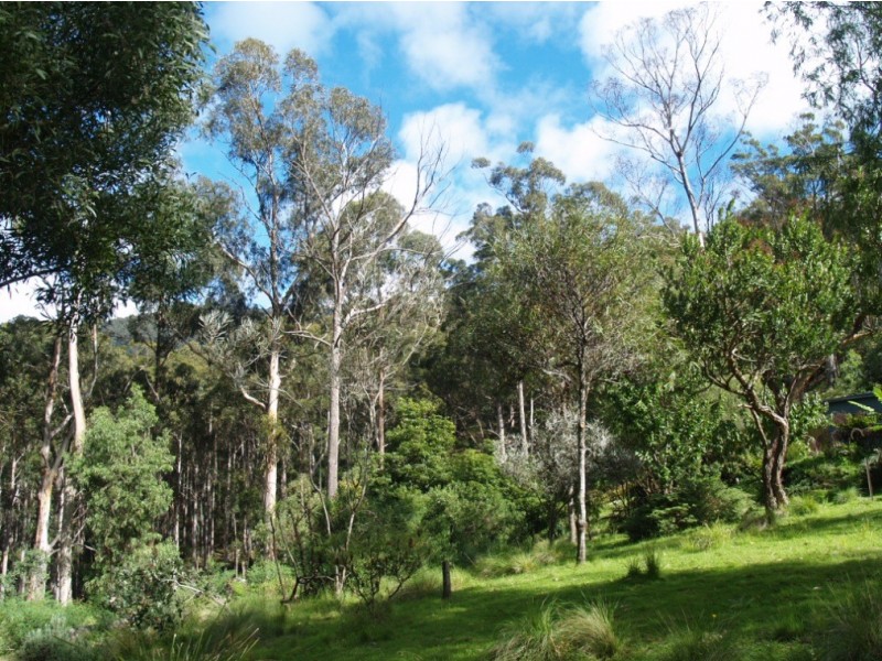 3919 Snowy Mtns Hwy, Bemboka NSW 2550