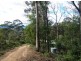 3919 Snowy Mtns Hwy, Bemboka NSW 2550