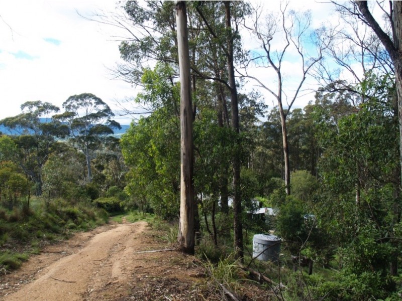 3919 Snowy Mtns Hwy, Bemboka NSW 2550