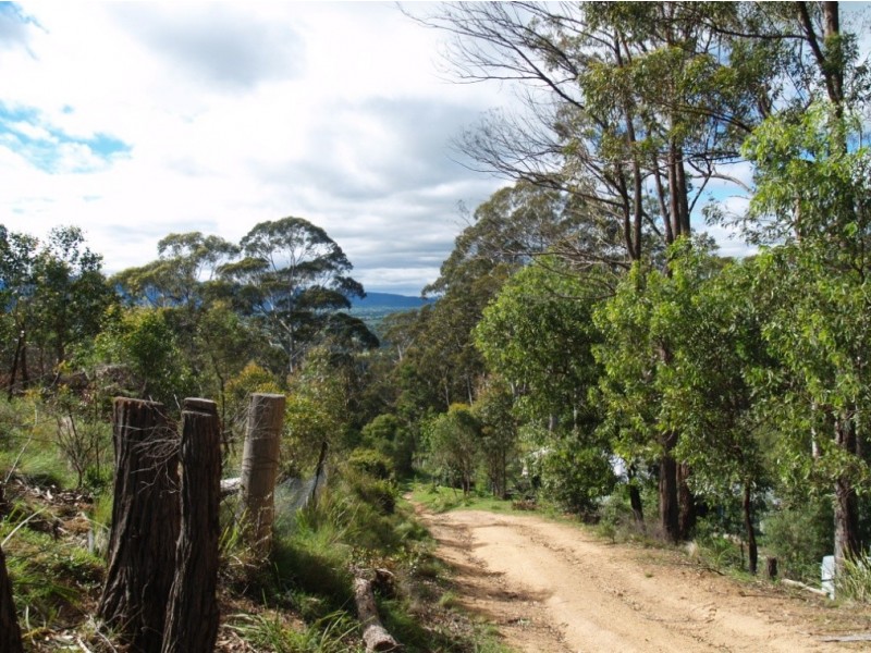 3919 Snowy Mtns Hwy, Bemboka NSW 2550