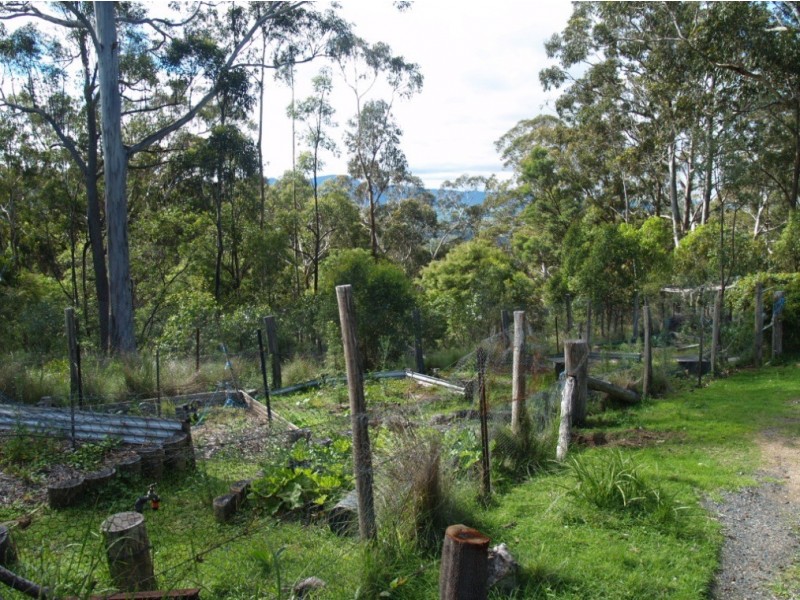 3919 Snowy Mtns Hwy, Bemboka NSW 2550