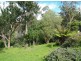 3919 Snowy Mtns Hwy, Bemboka NSW 2550