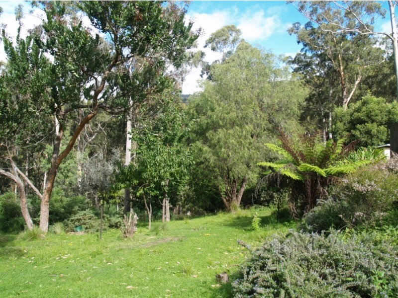 3919 Snowy Mtns Hwy, Bemboka NSW 2550
