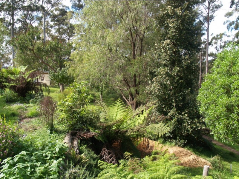 3919 Snowy Mtns Hwy, Bemboka NSW 2550