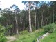 3919 Snowy Mtns Hwy, Bemboka NSW 2550